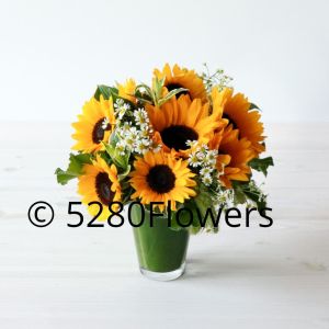 Local Sunflowers and Chamomile