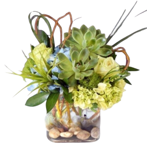 Denver Green flower arrangement with succulents and Hydrangea