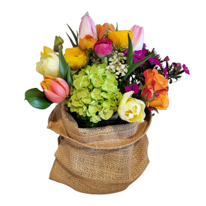 Denver Spring tulips and ranunculus in burlap vase