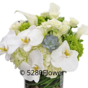 White Flower arrangement